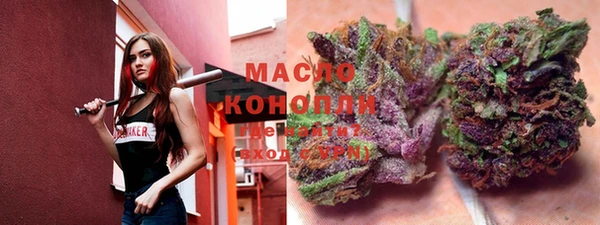 apvp Бородино