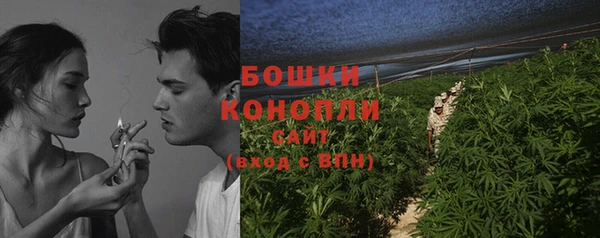 mix Богородицк