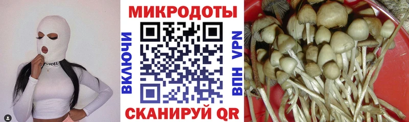 гидра ТОР  Михайлов  Псилоцибиновые грибы прущие грибы  наркошоп 
